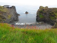 Island - Halbinsel Snæfellsnes - Küste bei Arnarstapi