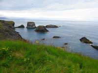 Island - Halbinsel Snæfellsnes - Küste bei Arnarstapi