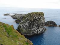 Island - Halbinsel Snæfellsnes - Küste bei Arnarstapi