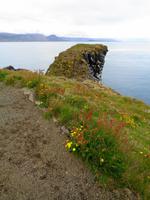 Island - Halbinsel Snæfellsnes - Küste bei Arnarstapi