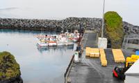 Island - Halbinsel Snæfellsnes - Arnarstapi, Hafen