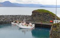 Island - Halbinsel Snæfellsnes - Arnarstapi, Hafen