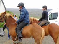 Island - Pferdehof Lýtingsstaðir