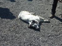 In der Sonne ist es schön :-)