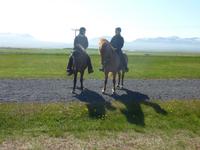 Die Reiter und ihre Pferde