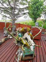 Island - Stöðvarfjörður, Petras Steinhaus 