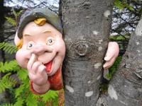 Island - Stöðvarfjörður, Petras Steinhaus 