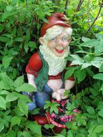 Island - Stöðvarfjörður, Petras Steinhaus 