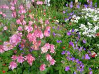 Island - Stöðvarfjörður, Petras Steinhaus 