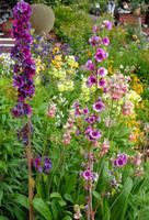 Island - Stöðvarfjörður, Petras Steinhaus 