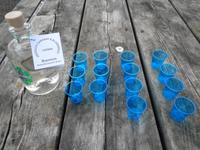 Island - Brennivín-Verkostung 