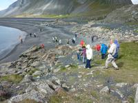 Wir suchen Schmeichelsteine