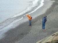 Na schon welche gefunden?