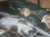 Sind Sie nicht zauberhaft?