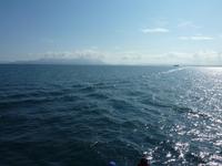 Walsafari in ReykjavÃ­k