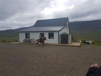 Pferdehof Lytingsstadir