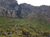 Felsenschlucht Asbyrgi