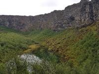 Felsenschlucht Asbyrgi