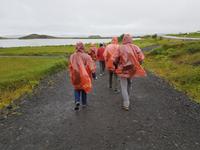 Am Myvatn - Mückensee