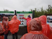 Am Myvatn - Mückensee