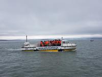 Gletscherlagune Jökulsarlon