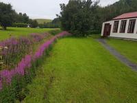 Freilichtmuseum Skoga