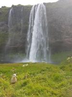 Wasserfall Seljalandsfoss