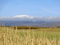 Island - Blick von Búðir auf den Snæfellsjökull 