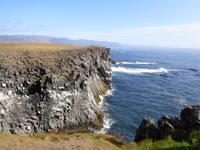 Island - Halbinsel Snæfellsnes - Dreizehenmövenfelsen bei Arnarstapi
