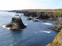 Island - Halbinsel Snæfellsnes - Küste bei Arnarstapi