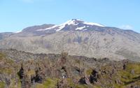 Island - Halbinsel Snæfellsnes - Djúpalónssandur - Blick auf den Snæfellsjökull 