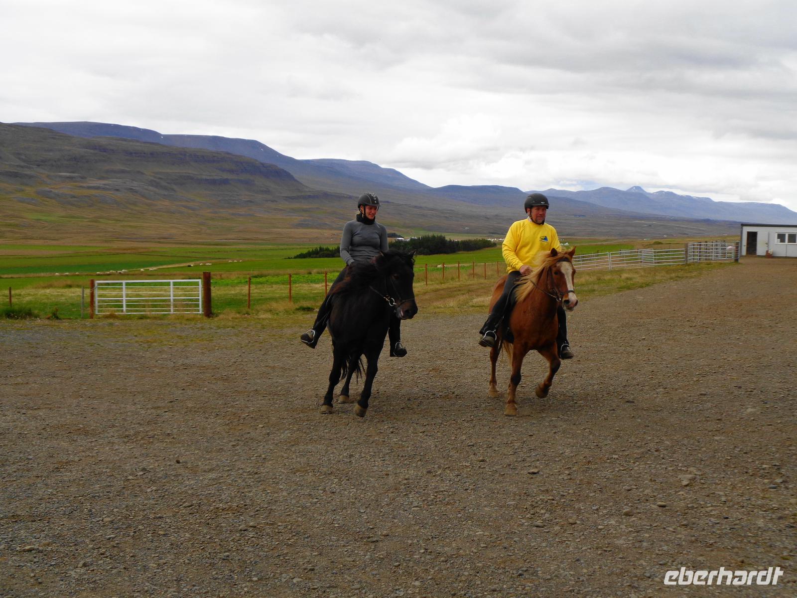  Island - Pferdehof Lýtingsstaðir