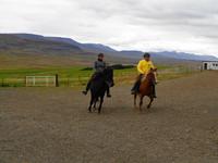  Island - Pferdehof Lýtingsstaðir