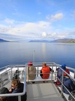 Island - Fjord Eyjafjördur - Walbeobachtungstour 