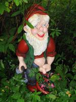 Island - Stöðvarfjördur, Petras Steinhaus 