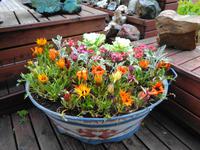 Island - Stöðvarfjördur, Petras Steinhaus 