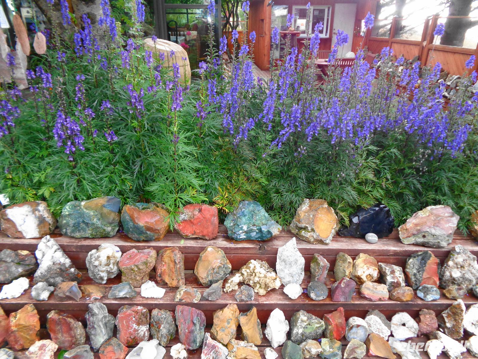 Island - Stöðvarfjördur, Petras Steinhaus 