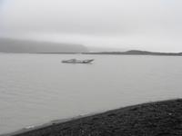 Island - Skaftafellsjökull, Gletscherzunge des Vatnajökull (bei Regen)