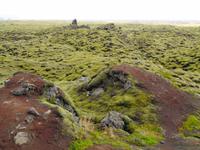Island - Südküste - Lavafeld Eidhraun