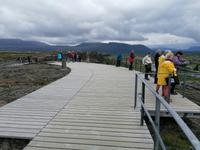 Ausflug Goldener Kreis - Thingvellir