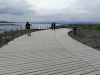 Ausflug Goldener Kreis - Thingvellir