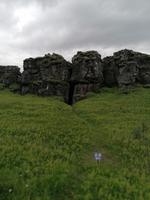 Ausflug Goldener Kreis - Thingvellir