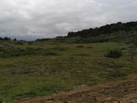 Ausflug Goldener Kreis - Thingvellir