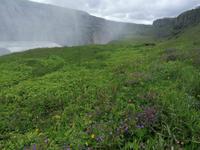 Ausflug Goldener Kreis - Gullfoss
