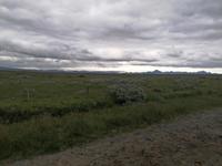 Ausflug Goldener Kreis - Geysire