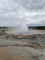 Ausflug Goldener Kreis - Geysire