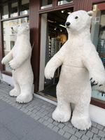 Ausflug Goldener Kreis - Reykjavik