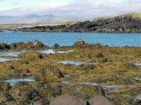 Halbinsel Snaefellsnes