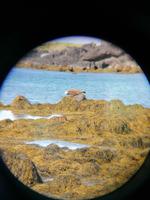 Halbinsel Snaefellsnes