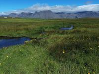 Halbinsel Snaefellsnes